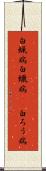 白蝋病 Scroll