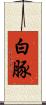 白豚 Scroll