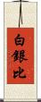 白銀比 Scroll