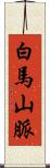 白馬山脈 Scroll