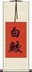 白鮫 Scroll
