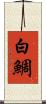 白鯛 Scroll
