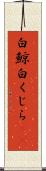 白鯨 Scroll