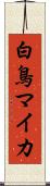 白鳥マイカ Scroll