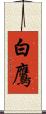 白鷹 Scroll