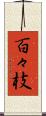 百々枝 Scroll