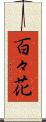 百々花 Scroll