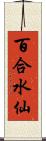 百合水仙 Scroll