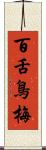 百舌鳥梅 Scroll
