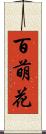 百萌花 Scroll
