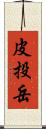 皮投岳 Scroll