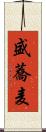 盛蕎麦 Scroll