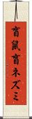 盲鼠 Scroll