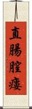 直腸膣瘻 Scroll