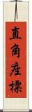 直角座標 Scroll