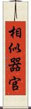 相似器官 Scroll