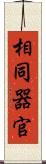 相同器官 Scroll