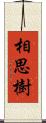 相思樹 Scroll