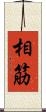 相筋 Scroll