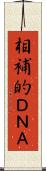相補的ＤＮＡ Scroll