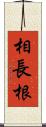 相長根 Scroll