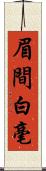 眉間白毫 Scroll