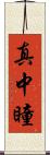真中瞳 Scroll