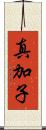 真加子 Scroll