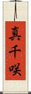 真千咲 Scroll