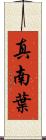 真南葉 Scroll