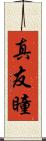 真友瞳 Scroll