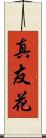 真友花 Scroll