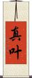 真叶 Scroll