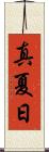 真夏日 Scroll