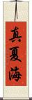 真夏海 Scroll
