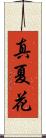 真夏花 Scroll