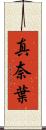 真奈葉 Scroll