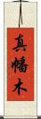 真幡木 Scroll