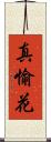 真愉花 Scroll