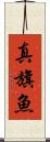 真旗魚 Scroll