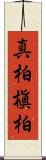 真柏 Scroll