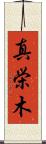 真栄木 Scroll