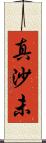 真沙未 Scroll