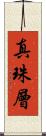 真珠層 Scroll