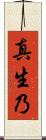 真生乃 Scroll