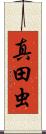 真田虫 Scroll