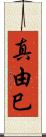 真由巳 Scroll