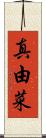 真由菜 Scroll