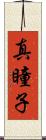 真瞳子 Scroll