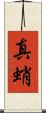 真蛸 Scroll